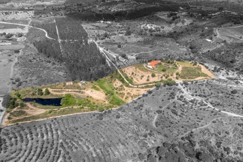 Finca i Avis, Portalegre, Avis - € 750.000 | Ref: 120121142213-73 - foto 45